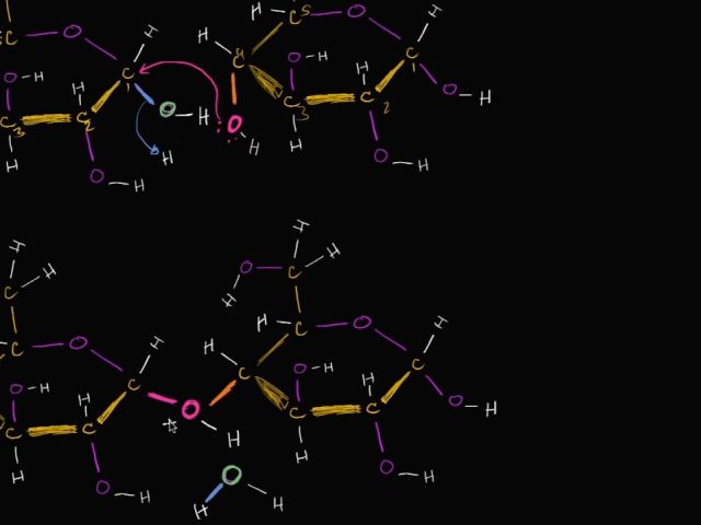 Dehydration reaction